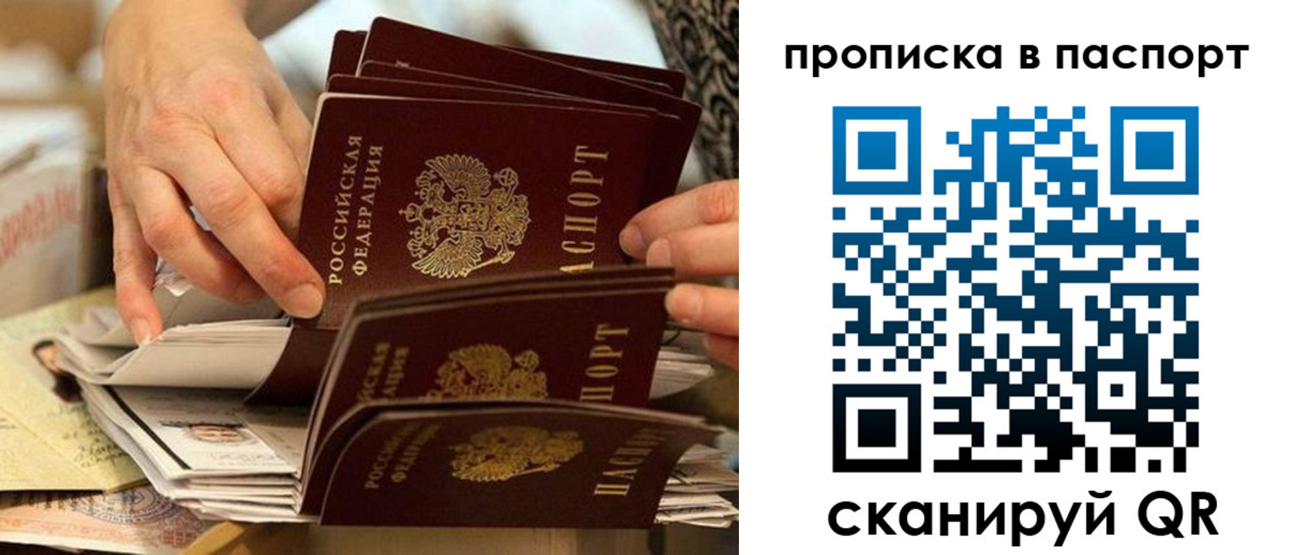 прописка законно в Ельне